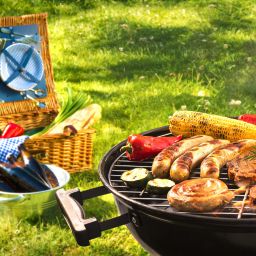 showing a sample picnic