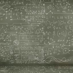 woman examining blackboard